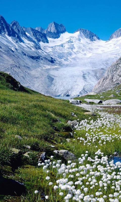 Alps Switzerland 35 Amazing Places In Our Amazing World