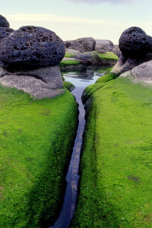Mossy Inlet Iceland 35 Amazing Places In Our Amazing World