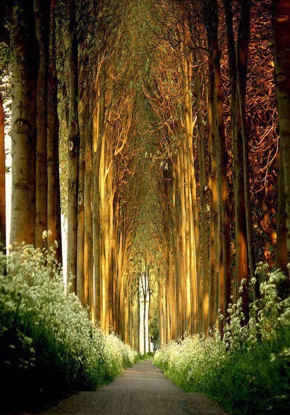Tee tunnel Belgium 35 Amazing Places In Our Amazing World