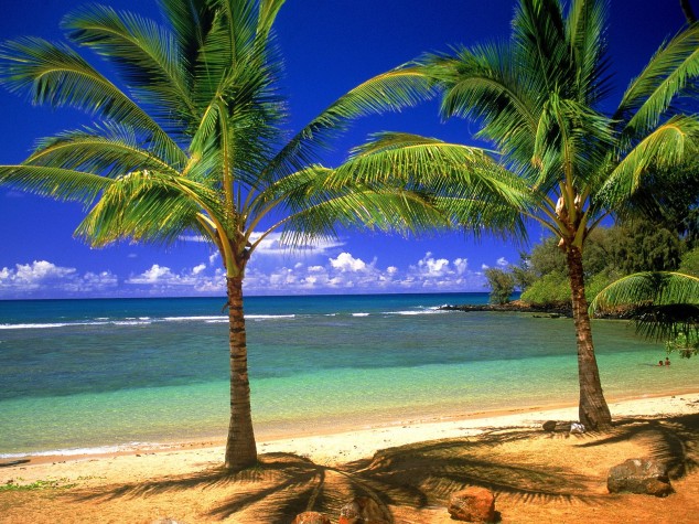 Hawaii-Beach--634x475.jpg