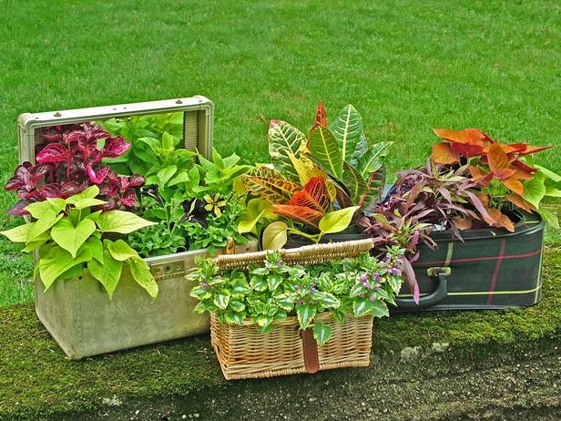 basket and suitcase flower pots DIY: Turn Old Things Into Beautiful Flower Pots and Planters