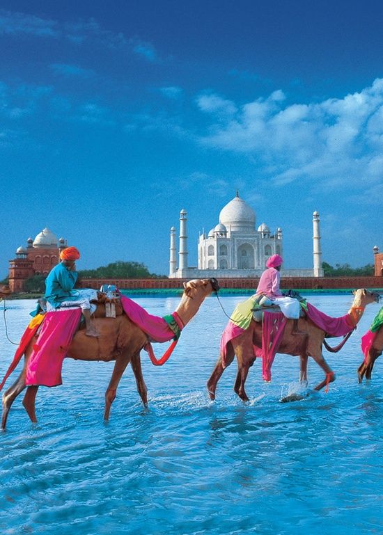 c4c3788754858144d7965dffa7a9f04b The Most Attractive Places To Visit In India