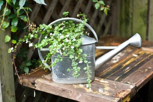 garden tools flower pot 634x423 DIY: Turn Old Things Into Beautiful Flower Pots and Planters