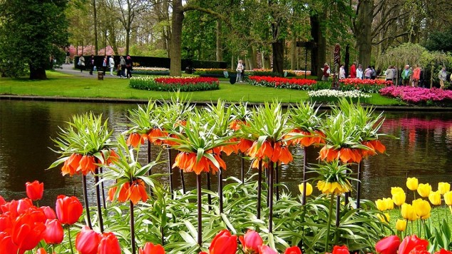 The Most Beautiful Gardens In The World You Have To Visit In a Lifetime