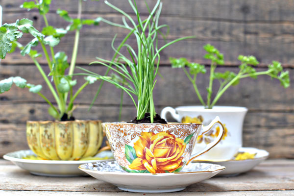 tea cup planters DIY: Turn Old Things Into Beautiful Flower Pots and Planters