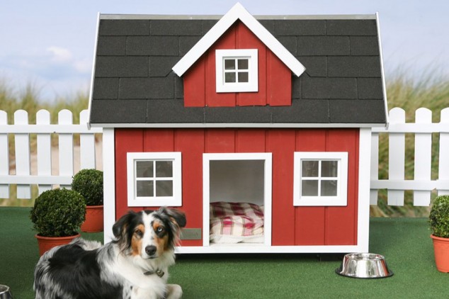 The Ultimate Luxurious Dog Houses