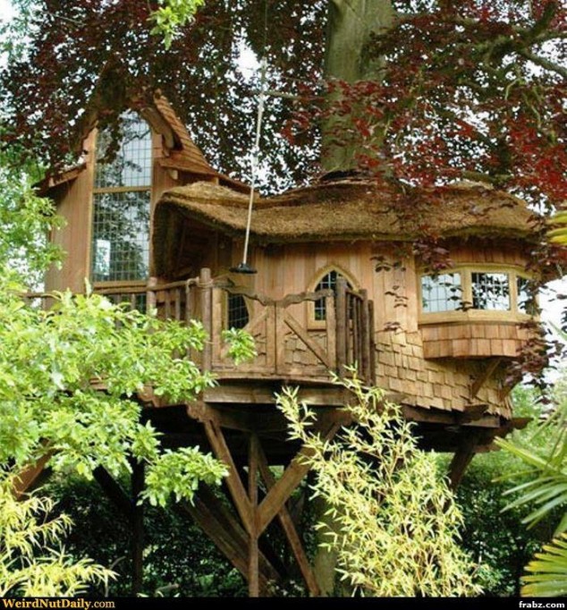 Unique And Creative Tree Houses