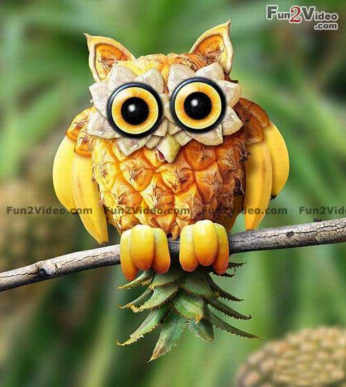pineapple owl funny food Interesting And Creative Food Decoration Ideas