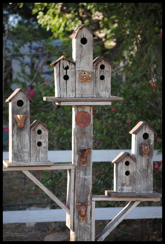 Cool Bird House: Cool Bird Houses, A Window Bird House Nesting Box 