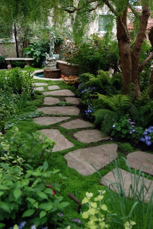 Practical Tips To Beauty Your Garden 