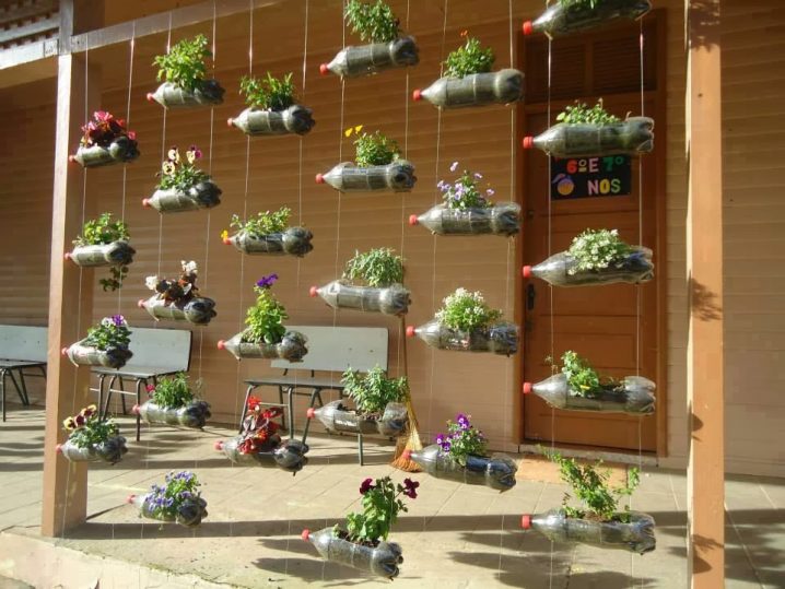 Creative Recycled Bottle Planters You Can Make Today