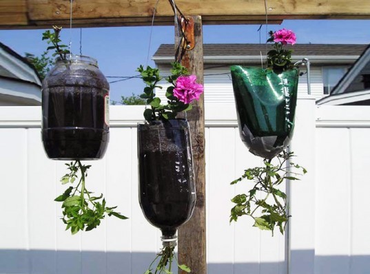 Creative Recycled Bottle Planters You Can Make Today