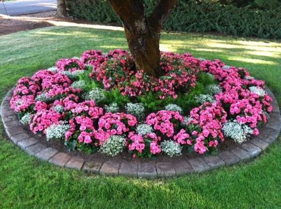 15 Eye-Catching Flower Beds Around Trees You Need To See
