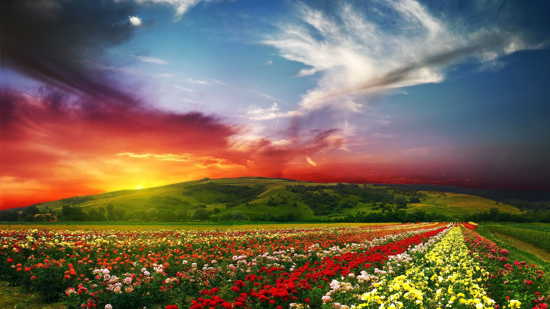 3 Stunningly Scenic Landscape Wallpapers