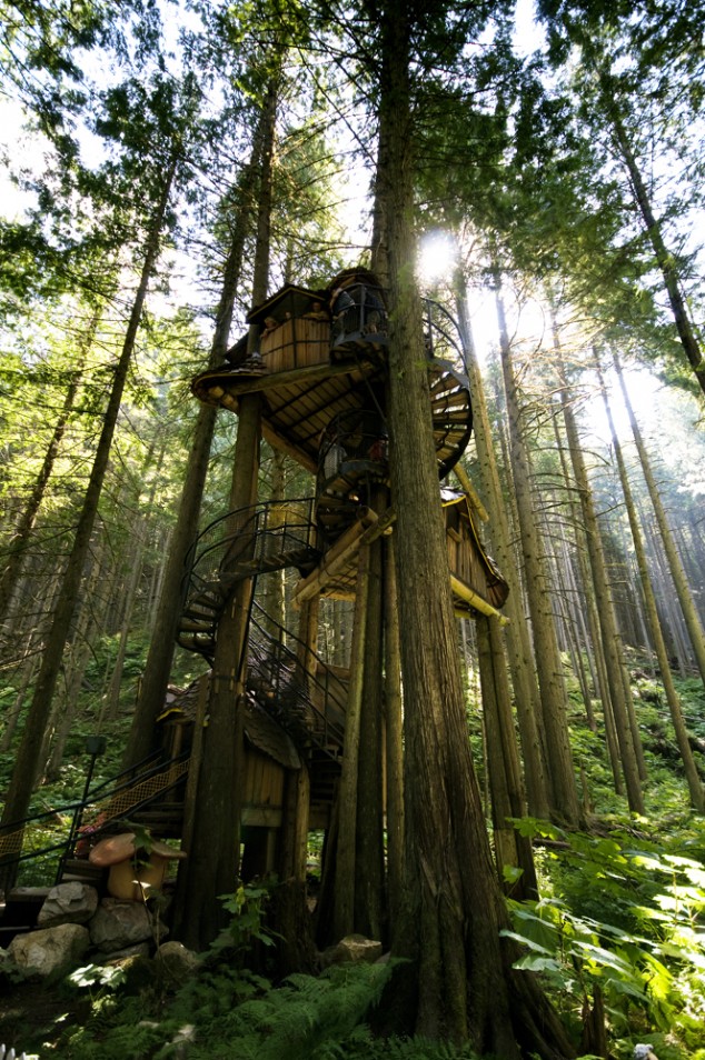 Unique And Creative Tree Houses