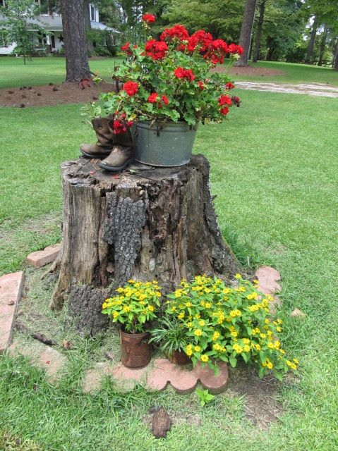 20 Amazing Ways to Decorate Your Backyard with Stumps