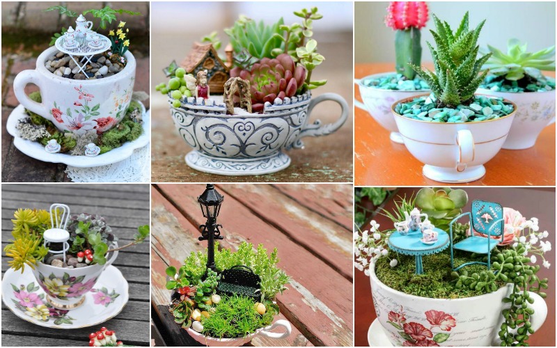 Tips On How To Make Cute Tea Cup Gardens In No Time
