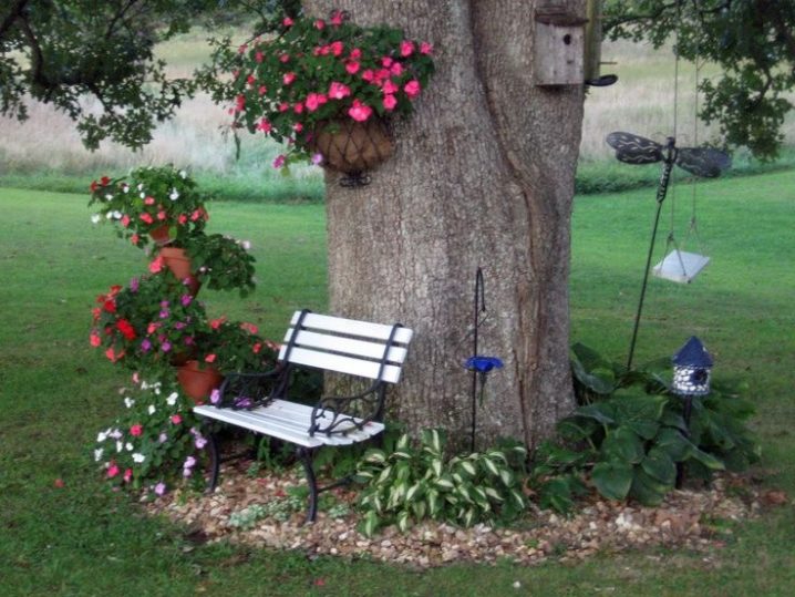 Landscaping Around Trees - Ideas You Should Not Miss!