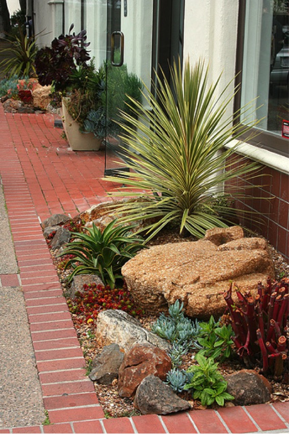 Small Rock Gardens You Will Definitely Love To Copy