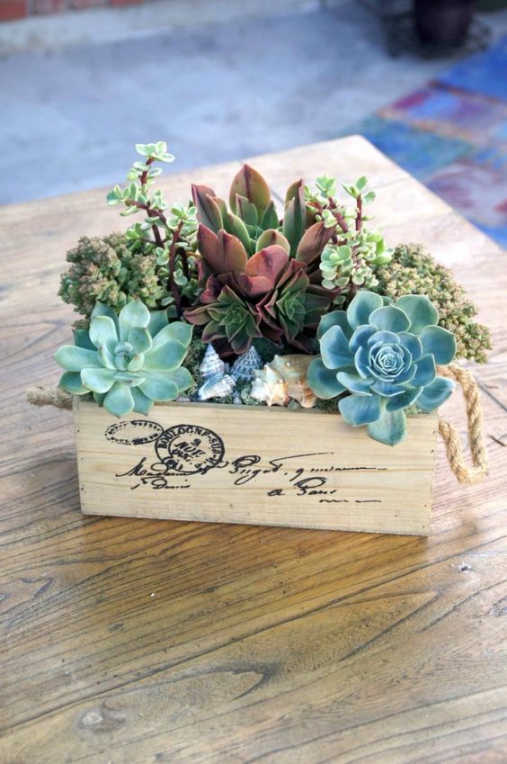 How To Plant Succulents? Picture Tutorial+Amazing Ideas For Decorations
