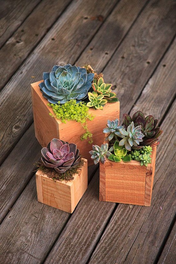 Mini Succulent Pots You Will Definitely Fall In Love With