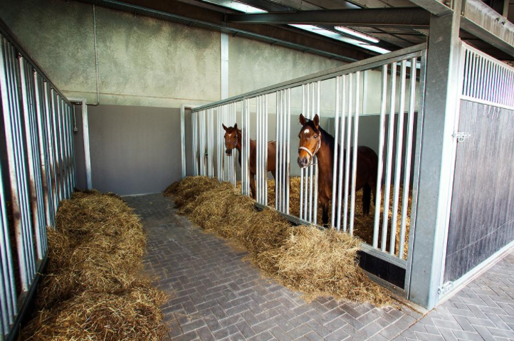 Horse Stables 101 - 10 Skillfully Designed Stable Ideas