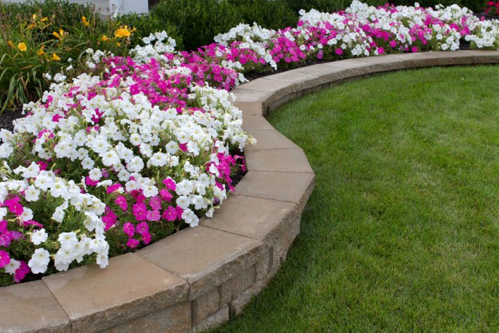 How To Create A Flower Bed In Front Of Your House?