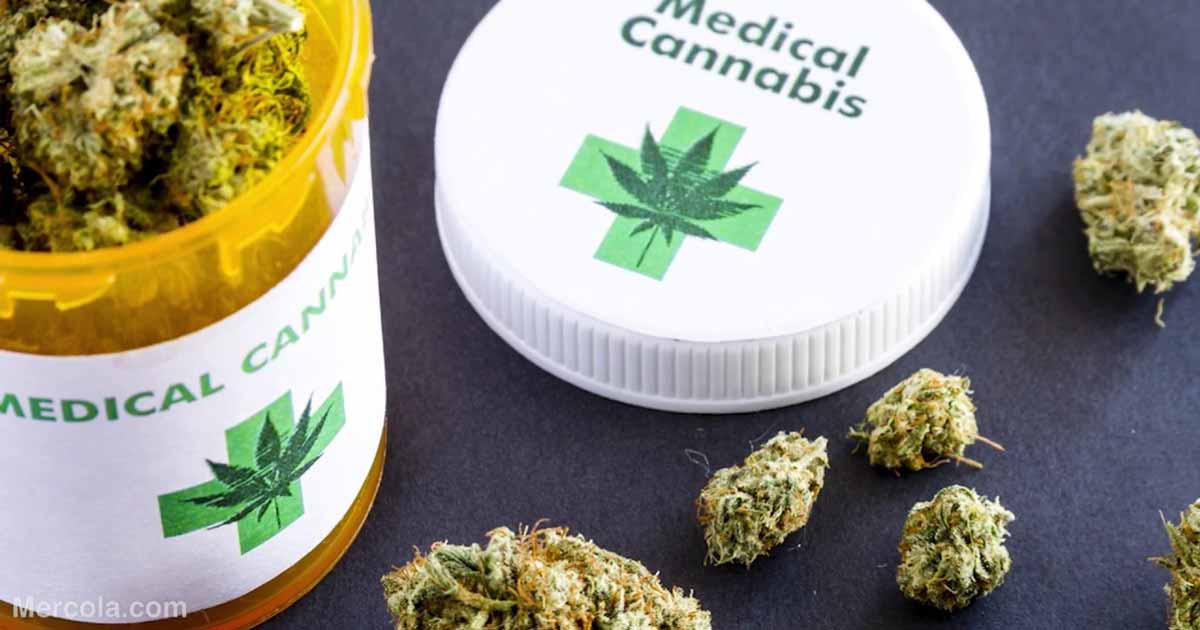 Men Vs. Woman: Who Frequents Medical Cannabis More?
